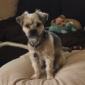 Meet your Posher, Kelli